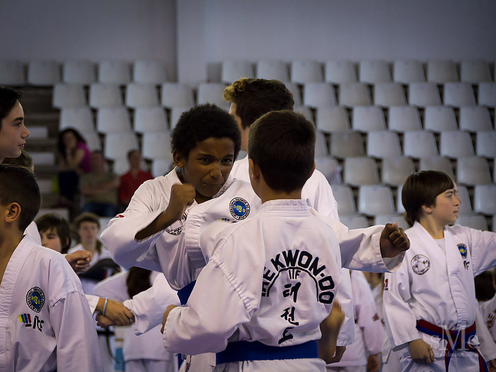 DIA DEL TAEKWONDO ABRIL 2017_3875.JPG